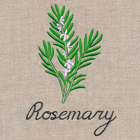 Botanical Herbs - Rosemary