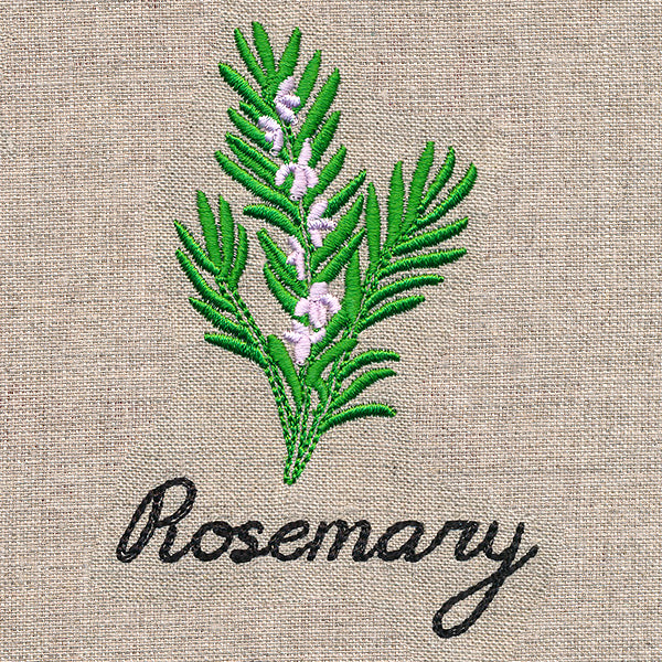 Botanical Herbs - Rosemary