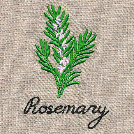 Botanical Herbs - Rosemary