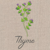 Botanical Herbs - Thyme