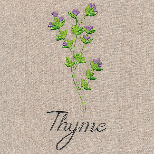Botanical Herbs - Thyme