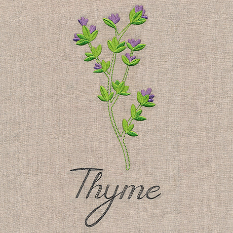 Botanical Herbs - Thyme