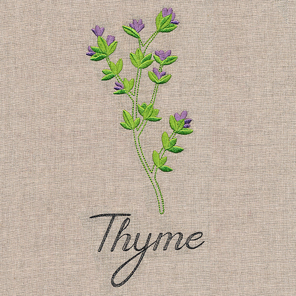 Botanical Herbs - Thyme