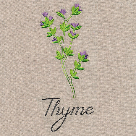 Botanical Herbs - Thyme