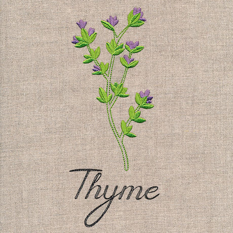 Botanical Herbs - Thyme