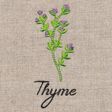 Botanical Herbs - Thyme
