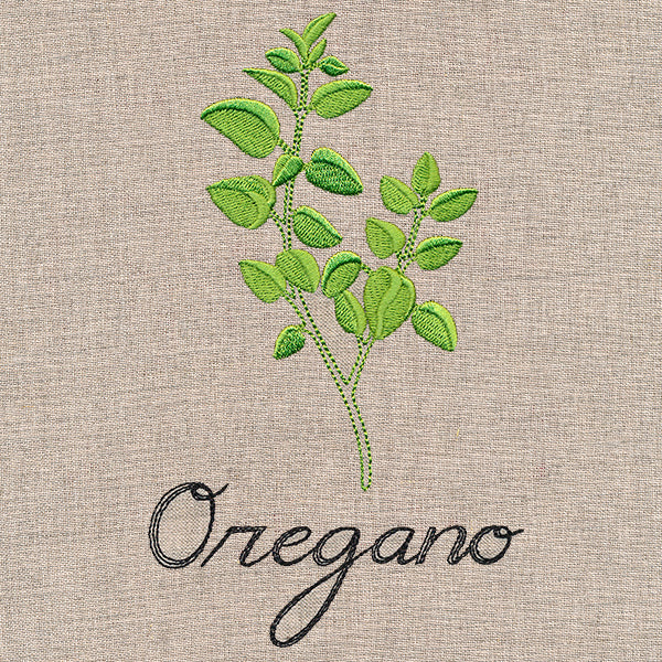 Botanical Herbs - Oregano