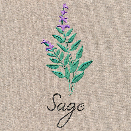 Botanical Herbs - Sage