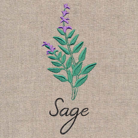 Botanical Herbs - Sage