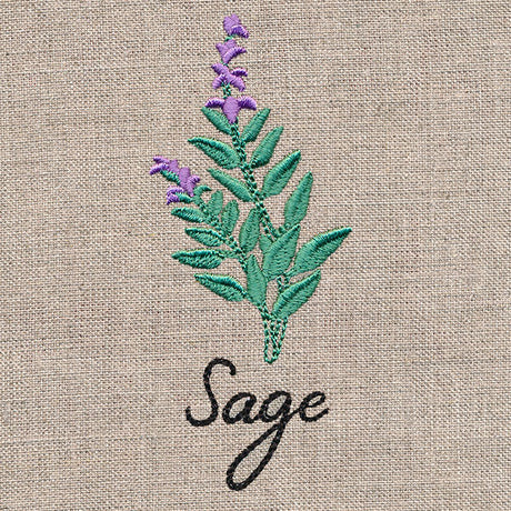 Botanical Herbs - Sage