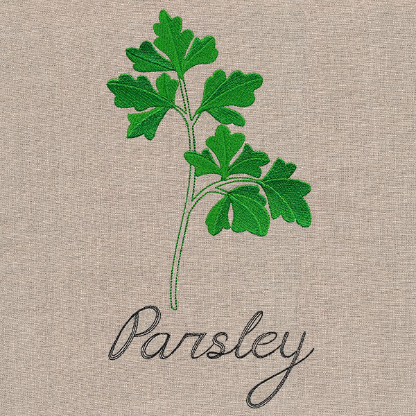 Botanical Herbs - Parsley