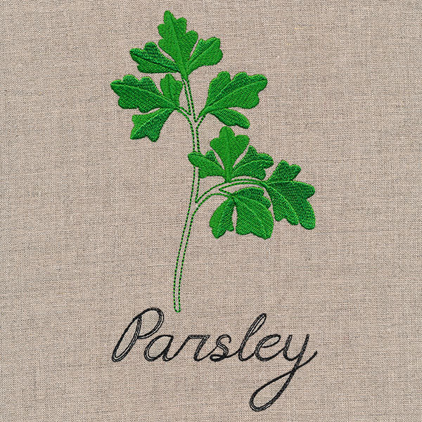 Botanical Herbs - Parsley