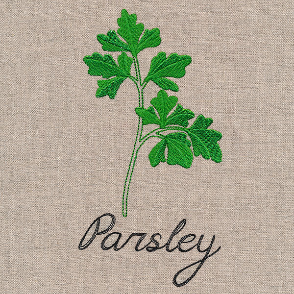 Botanical Herbs - Parsley