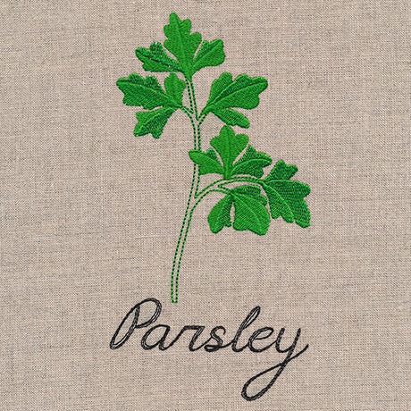 Botanical Herbs - Parsley