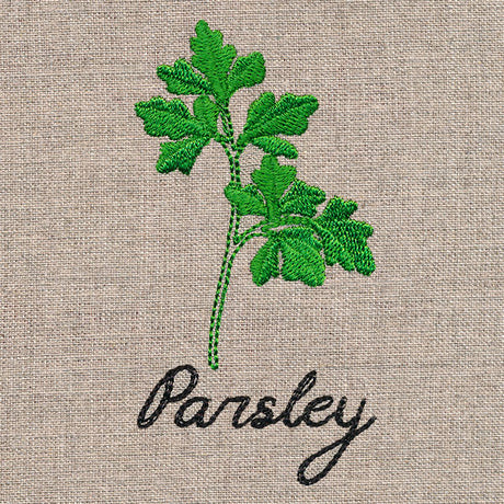 Botanical Herbs - Parsley