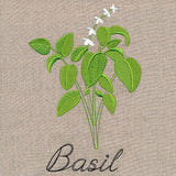 Botanical Herbs - Basil
