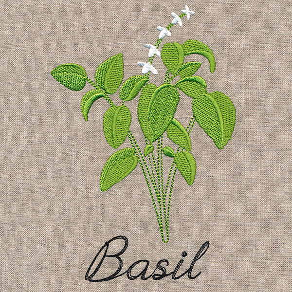 Botanical Herbs - Basil