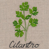 Botanical Herbs - Cilantro
