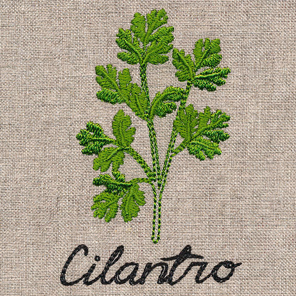 Botanical Herbs - Cilantro