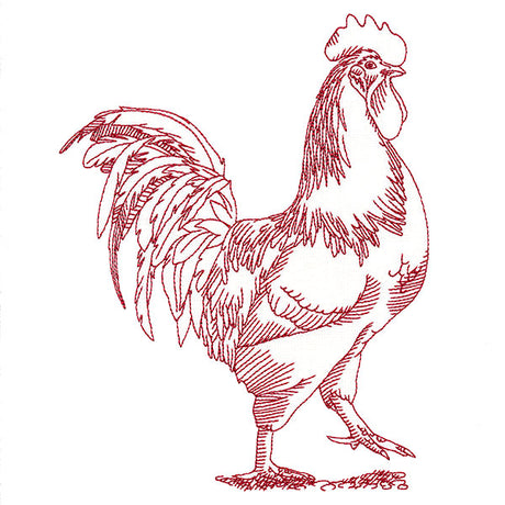 Barnyard Etchings - Rooster