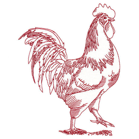 Barnyard Etchings - Rooster