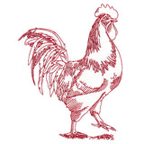 Barnyard Etchings - Rooster