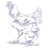 Barnyard Etchings - Hen and Chick