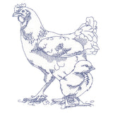 Barnyard Etchings - Hen and Chick
