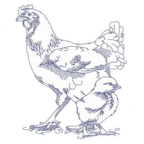 Barnyard Etchings - Hen and Chick