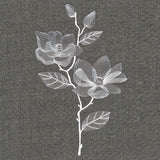 Sheer Beauty Botanicals - Magnolias