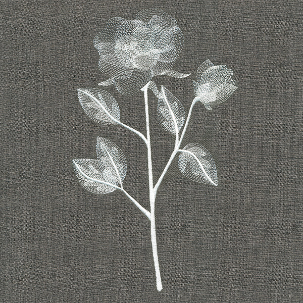 Sheer Beauty Botanicals - Roses