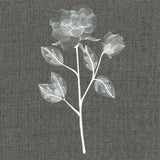 Sheer Beauty Botanicals - Roses