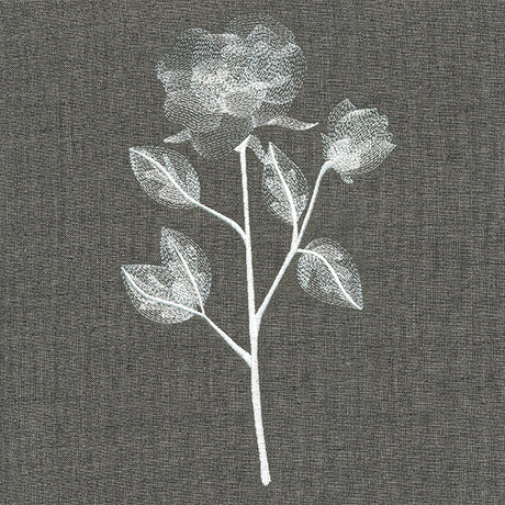 Sheer Beauty Botanicals - Roses