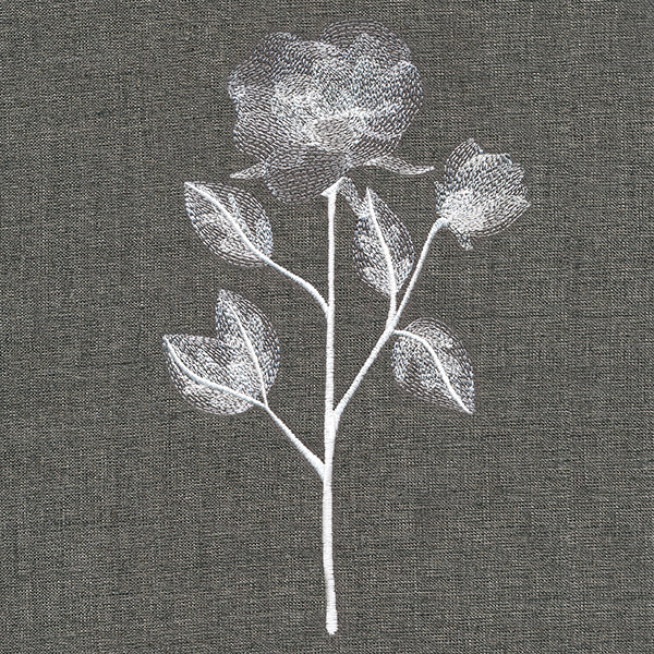 Sheer Beauty Botanicals - Roses