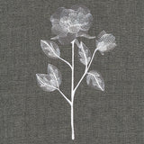 Sheer Beauty Botanicals - Roses