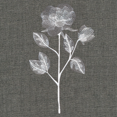 Sheer Beauty Botanicals - Roses