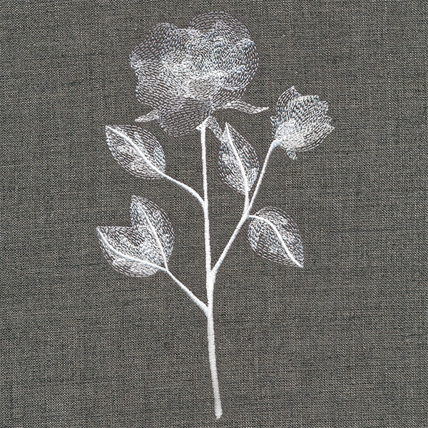 Sheer Beauty Botanicals - Roses