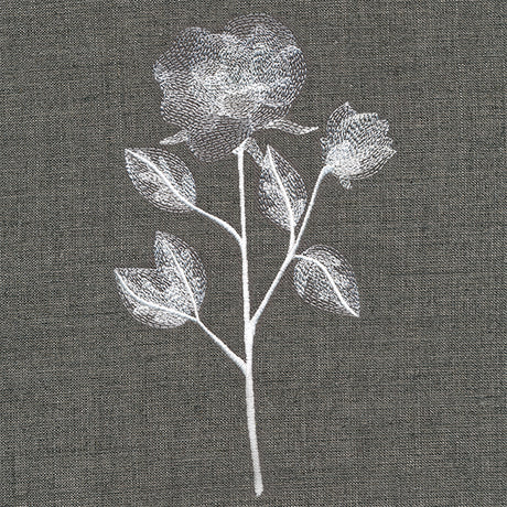 Sheer Beauty Botanicals - Roses