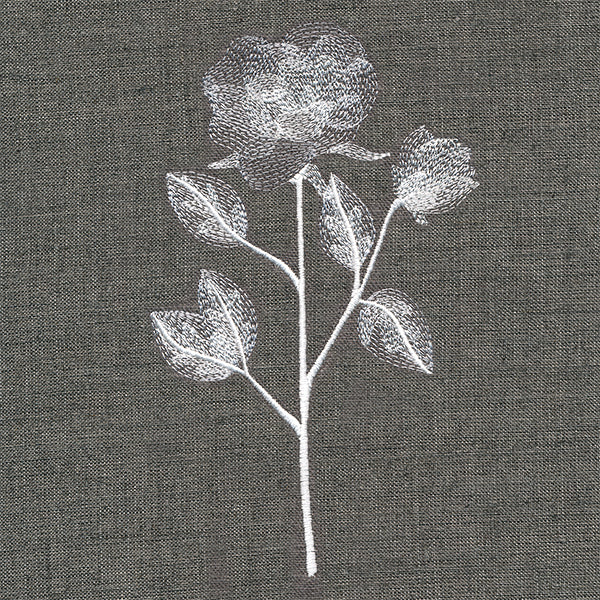 Sheer Beauty Botanicals - Roses