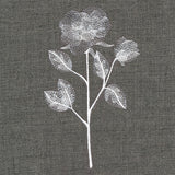 Sheer Beauty Botanicals - Roses