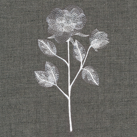 Sheer Beauty Botanicals - Roses