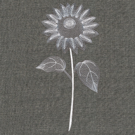 Sheer Beauty Botanicals - Sunflower