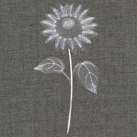 Sheer Beauty Botanicals - Sunflower