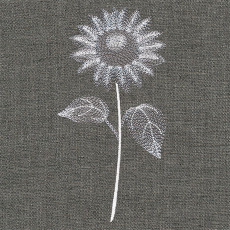 Sheer Beauty Botanicals - Sunflower