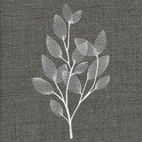 Sheer Beauty Botanicals - Magnolia Leaves