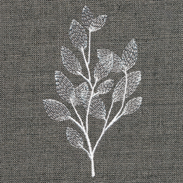 Sheer Beauty Botanicals - Magnolia Leaves