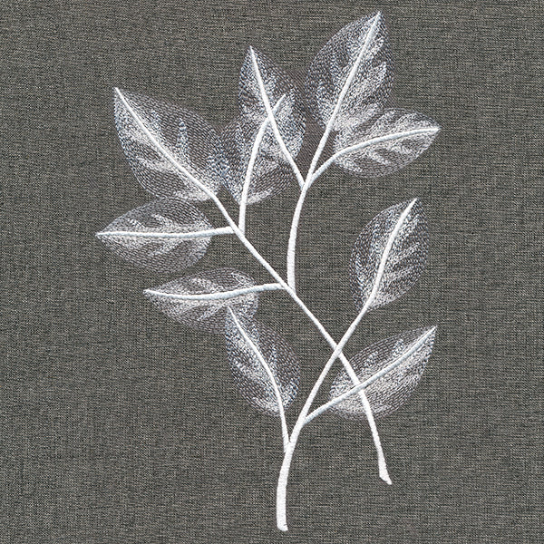 Sheer Beauty Botanicals - Rose Leaves