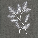 Sheer Beauty Botanicals - Rose Leaves