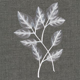 Sheer Beauty Botanicals - Rose Leaves