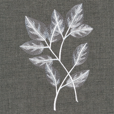 Sheer Beauty Botanicals - Rose Leaves